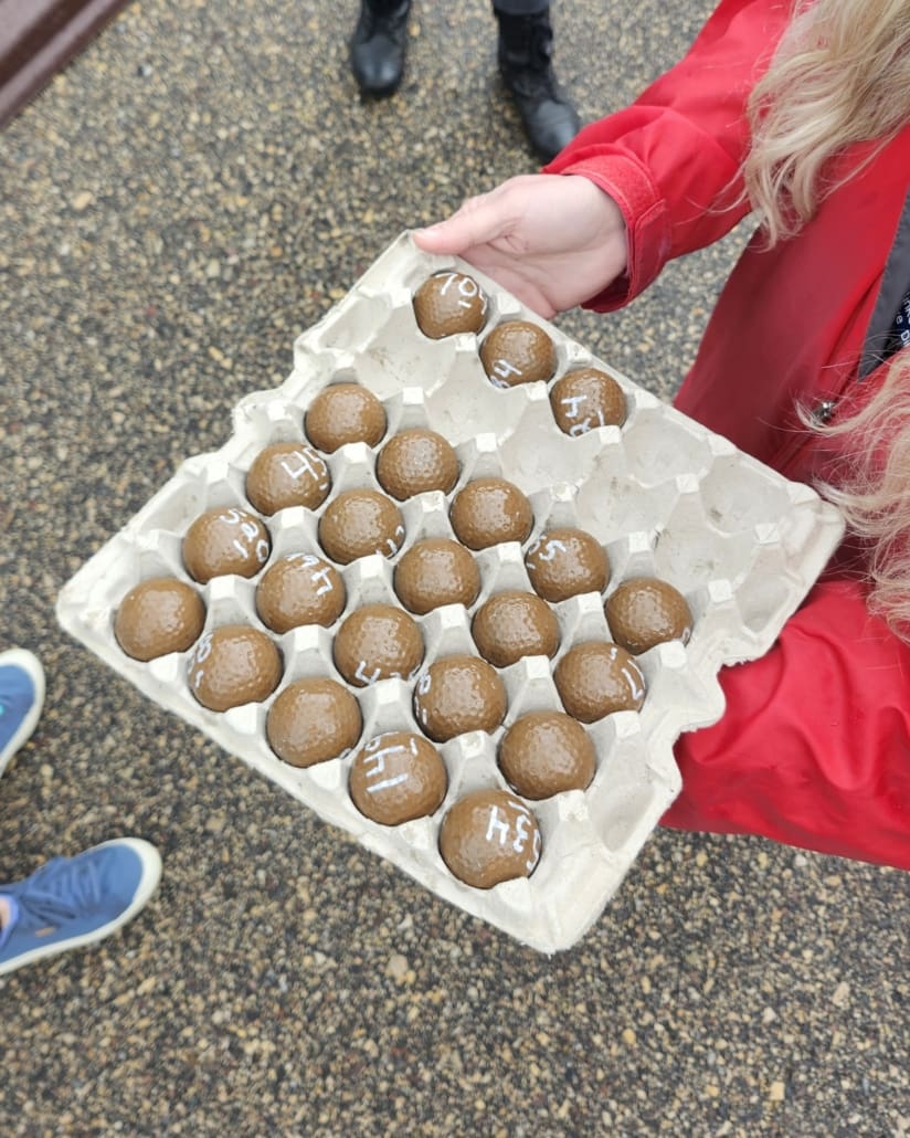 Winning meatballs from the 2025 Running of the Meatballs.